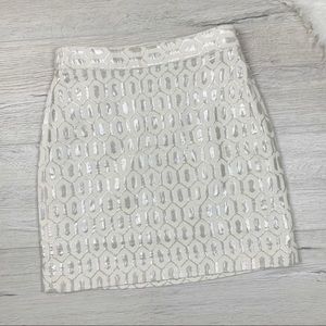 NWT Banana Republic Metallic Embroidered Skirt